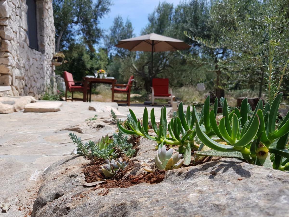 Holiday Home Strpuncina Luka  المظهر الخارجي الصورة
